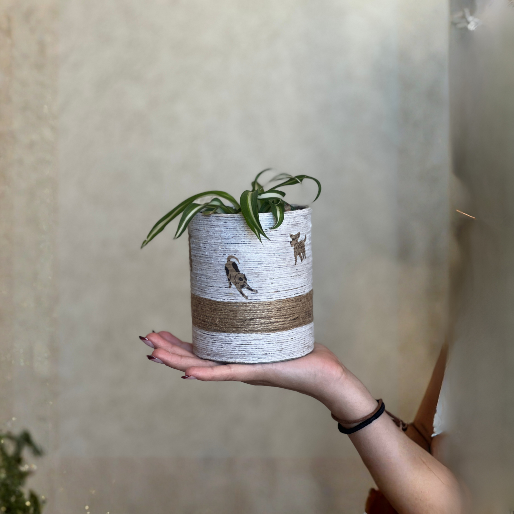 Close up of hands planting a green seedling into soil in a ceramic pot focusing on the middle part