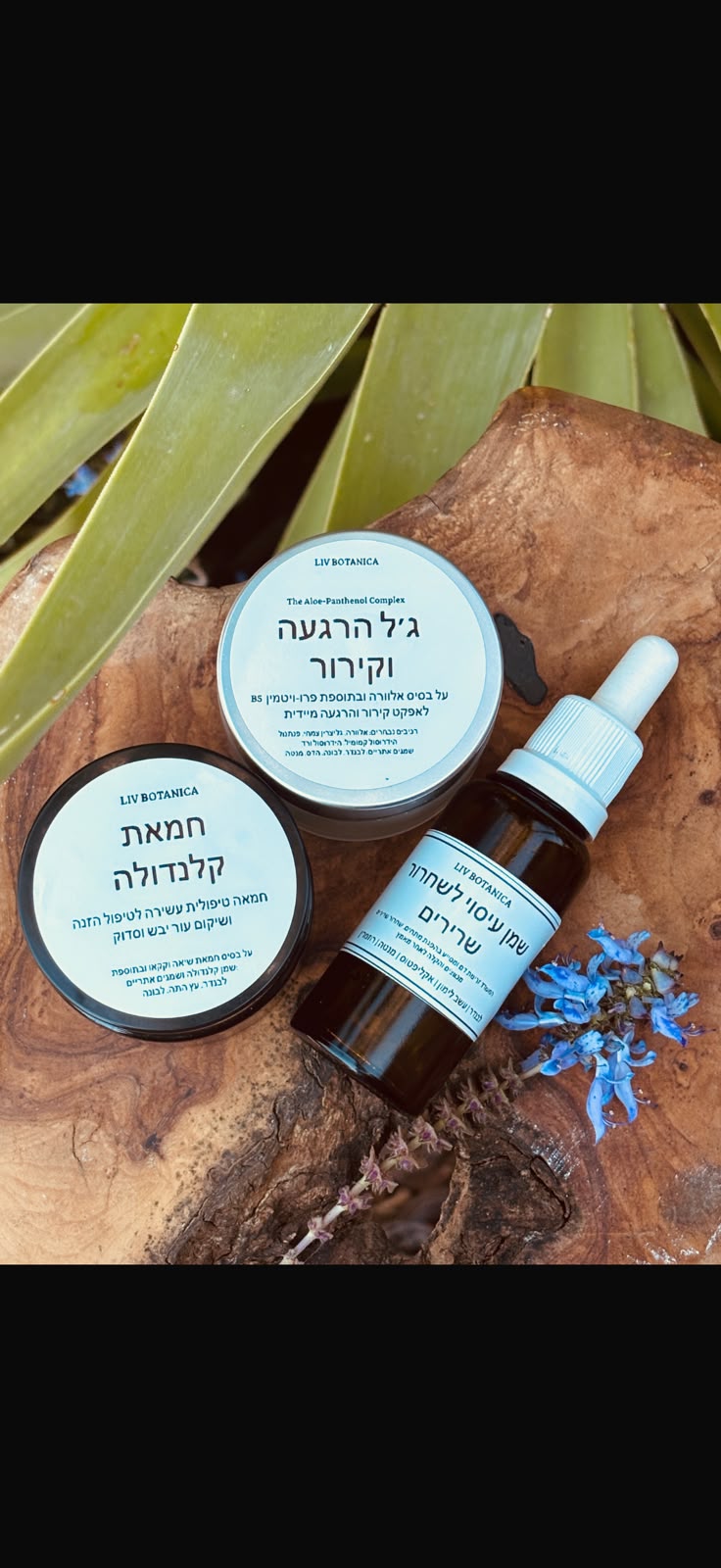 מוצרי רוקחות טבעית ומשחות מרפא