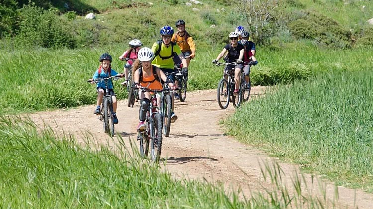 Mountain bikes in nature