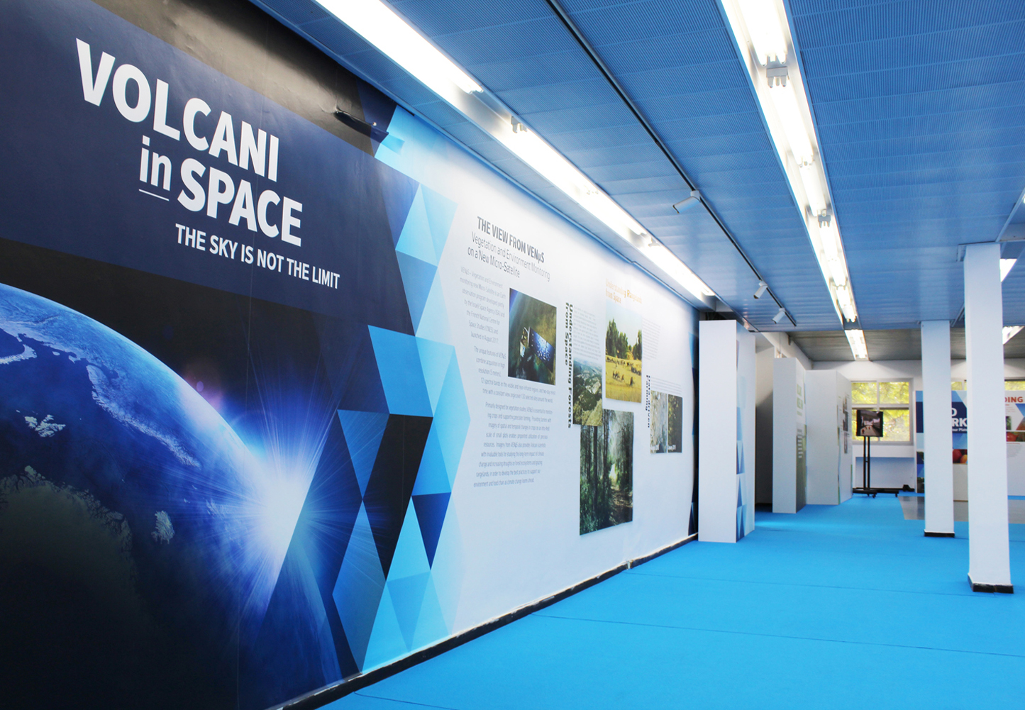 Commercial Design, showroom design