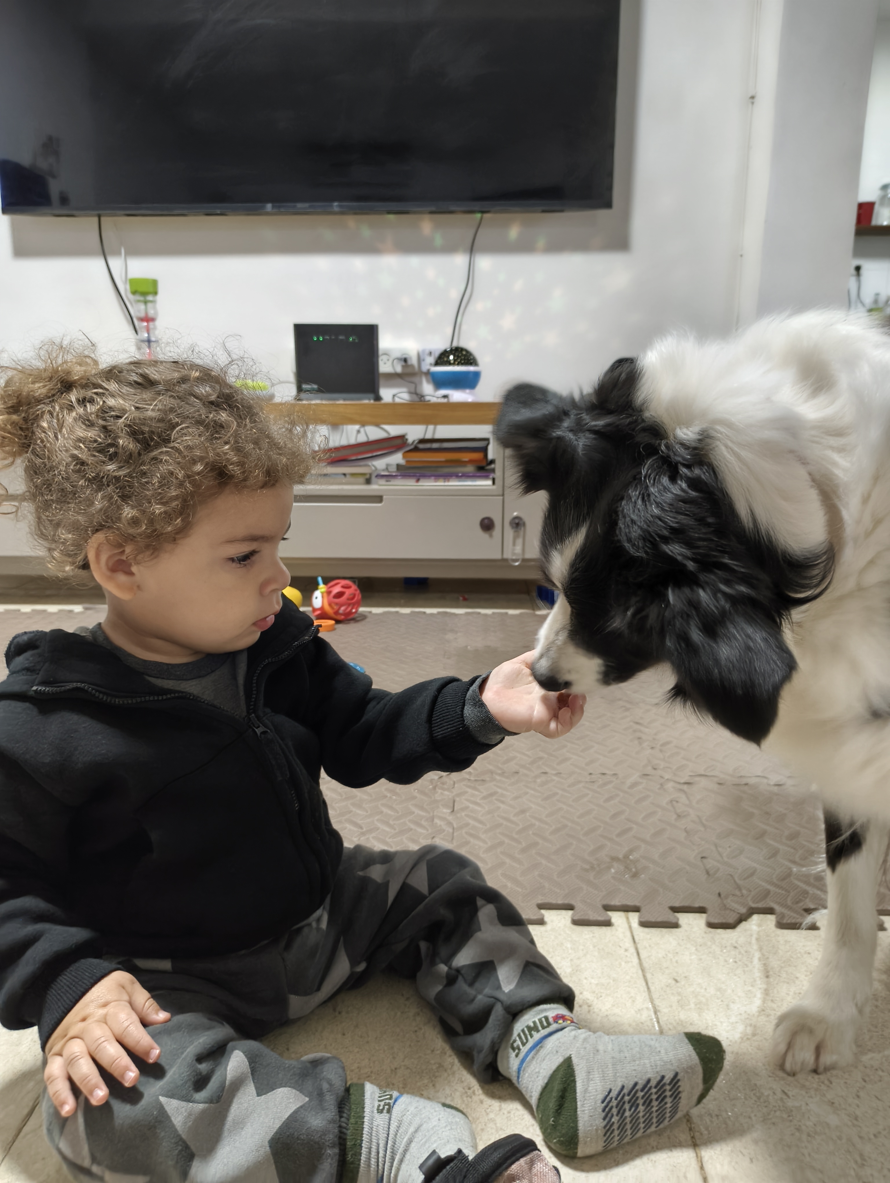 Animal Therapy Center, group therapy sessions